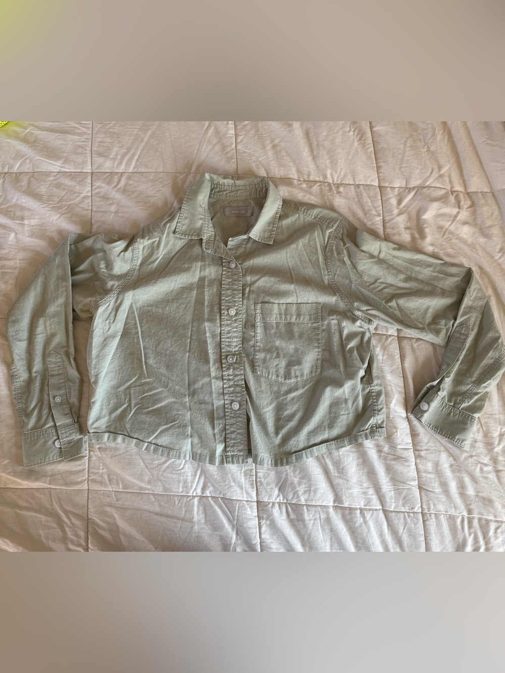 Everlane Light Green Casual Button-Up Shirt